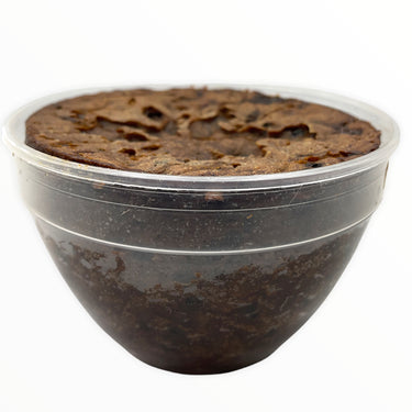 Christmas Pudding